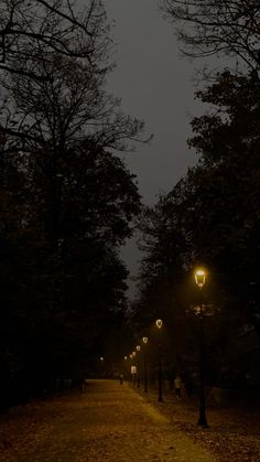 an empty path in the middle of a park at night with street lights lit up