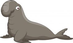 an elephant seal sitting on the ground