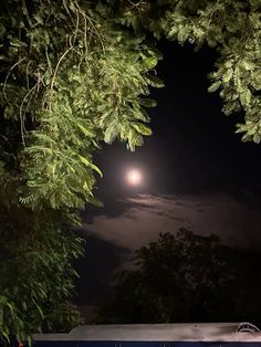 the full moon is seen through some trees at night with clouds and green leaves in the foreground