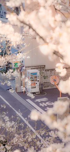 the street is lined with cherry blossom trees and vending machines in front of them