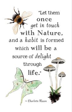 a quote from charlotte mason about nature and the bees on it's back cover