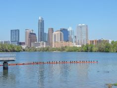 there is a bench that is in the middle of the water with buildings in the background