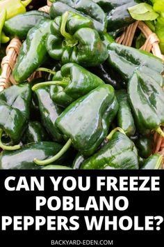 green peppers in a basket with the words can you freeze poblano peppers whole?