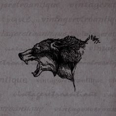 a drawing of a bear with its mouth open