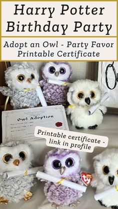 harry potter birthday party adopt an owl - party favors and printable certificate for free link in profile