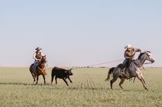 Cattlepunk Aesthetic, Bull Rider Aesthetic, Rancher Aesthetic, Oklahoma Aesthetic, Gothic Western, Herding Cattle, Cowboy Life, Texas Western, Texas Panhandle