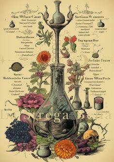 a poster with flowers and vases on it's sides, including the names of each