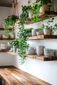 some plants are hanging on the wall above shelves with plates and bowls in them,