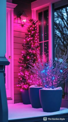 two potted plants in front of a pink lit christmas tree