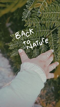 a hand reaching out towards a plant with the words back to nature written on it