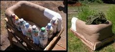 an old wheelbarrow is turned into a planter filled with water and bottles