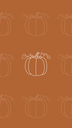 pumpkins on an orange background