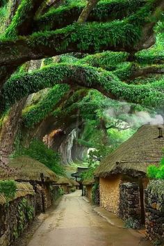 an old village with thatched roof houses and trees in the background, surrounded by greenery