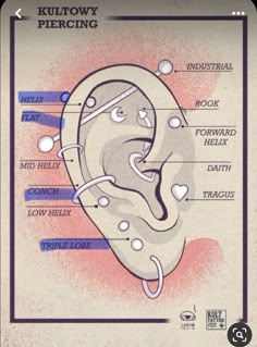 Piercing Chart, Types Of Ear Piercings, Fantasy Earrings, Piercings Ideas, Cool Ear Piercings, Face Piercings, Pretty Ear Piercings