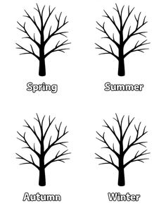 four different types of trees with the words spring, summer, and winter