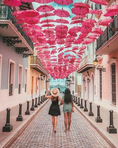 two women walking down the street under pink umbrellas that are hanging from the ceiling