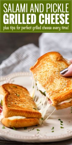 a grilled cheese sandwich on a plate being held up by someone's hand