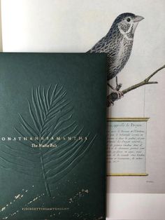 a bird sitting on top of a tree branch next to a book with writing on it