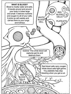 an animal cell diagram is shown in black and white, with information about the cells