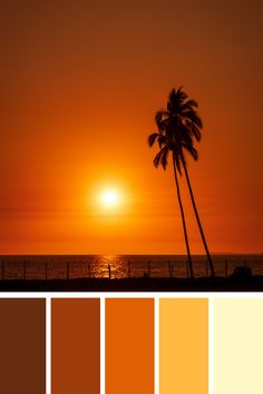 the sun is setting over the ocean with palm trees in front of it and an orange sky