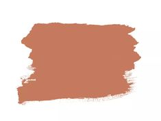 an orange paint color with white background