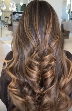 Brown Balayage Blowout, Full Head Caramel Highlights, Layers With Highlights Brunettes, Butterscotch Highlights On Dark Hair, Carmel And Blonde Balayage On Brown Hair, Champagne Highlights On Brown Hair, Full Head Of Foils On Brown Hair, Teddy Bear Highlights, Level 6 Balayage