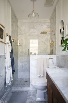 a white toilet sitting next to a walk in shower under a light hanging above it