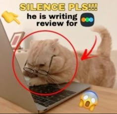 a cat sitting on top of a laptop computer with the caption, science plis he is writing review for