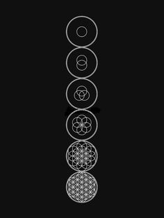 the seven chakras are arranged in a line, with four circles on each side