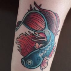 Betta Fish Tattoo, Betta fish tattoo design, women's Betta fish tattoo, Betta fish tattoo designs, simple Betta fish tattoo, watercolor betta fish tattoo, Betta fish tattoo small, black Betta fish tattoo, small Betta fish tattoo, realistic betta fish tattoo, betta fish tattoo simple, betta fish tattoo drawing, betta fish tattoo ideas, red betta fish tattoo, geometric betta fish tattoo, Betta fish tattoo traditional,Female betta fish Tattoo,Betta fish tattoo outline,Siamese fighting fish Tattoo