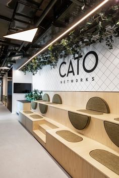 the interior of a cato network office with plants growing on the wall and wooden benches