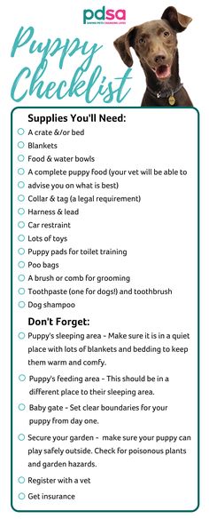 the puppy checklist for puppies you'll need