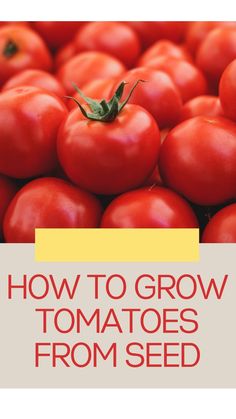 tomatoes with the words how to grow tomatoes from seed on top and bottom of them