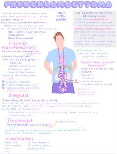 Physician Assistant Study Notes, Maple Hospital, Pa Aesthetic, Nurse Practitioner School, Nursing 101