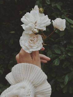 a person holding flowers in their hands