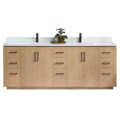 a bathroom vanity with two sinks and a potted plant