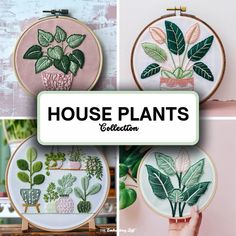 four different pictures with plants in them and the words house plants collection written on it