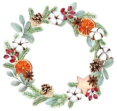 a christmas wreath with oranges, pine cones and other holiday decorations around it on a white background