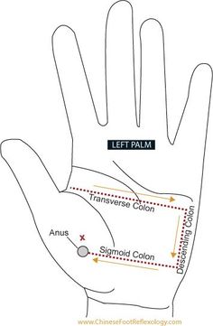 Reflexology for constipation Pressure Points For Constipation, Ways To Relieve Constipation, Medical Qigong, Help Constipation, Healing Naturally, Qigong Meditation, Constipation Remedies