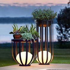 two planters with plants in them are lit up by the lights on the ground