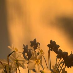 some white and yellow flowers are in a vase