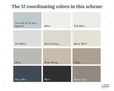 the 12 coordinating colors in this scheme