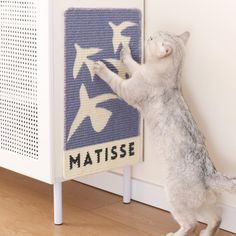 a cat standing on its hind legs reaching up to reach a matissee sign