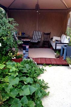 a tent with chairs and tables in the middle of some plants on the ground next to it