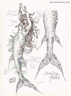 a drawing of a mermaid and a fish