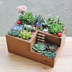 a wooden box filled with succulents and plants on top of a table