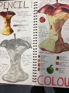 an open notebook with pictures of different types of apples and the words pencill on it