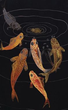 four fish swimming in the water with bubbles and circles around them on a black background