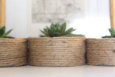 three small succulents in jute baskets on a white table with a mirror behind them