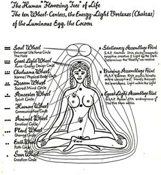 Sacred Wheel Teachings and Self-Development Techniques | Church of the Cosmos : Temple of Light Kundalini Yoga Poses, Native American Medicine Wheel, Native American Prayers, Temple Of Light, Pranic Healing, Energy Therapy, Native American Traditions, Mantra Quotes, Energy Healing Reiki